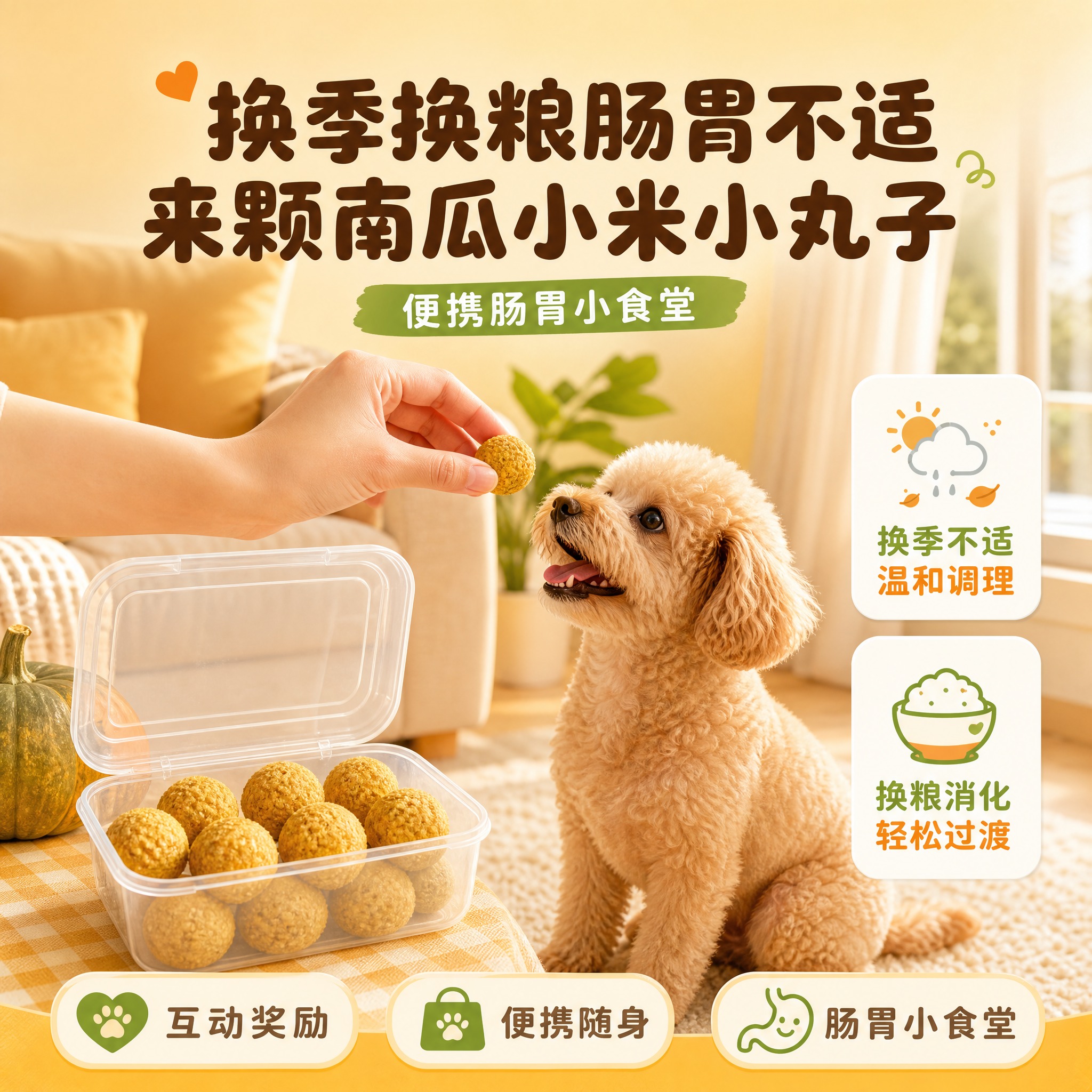[主图-2] 核心亮点场景型，主题：换季换粮肠胃不适 来颗南瓜… - 图片创意预览