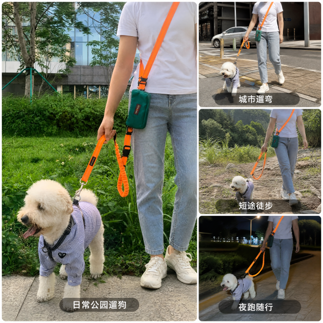 [主图-4] 代戴乐宠物牵引绳多场景适配展示。保持产品外观与原图一致，使用宫格拼图展示适配不同场景：左侧主场景大图展示日常公园遛狗，右上小卡片展示城市散步“城市遛弯”，右中小卡片展示郊外徒步“短途徒步预览效果