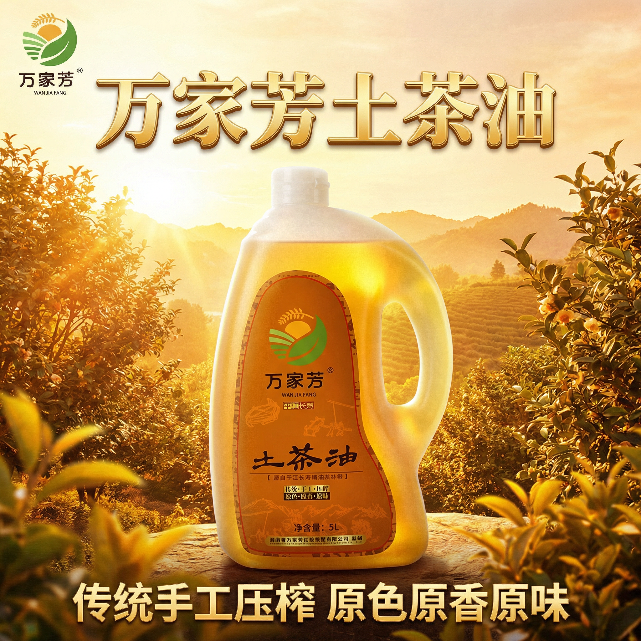 「图片1」「图片1」「图片1」根据图片生成一个山茶籽油的详情页 - 图片创意预览