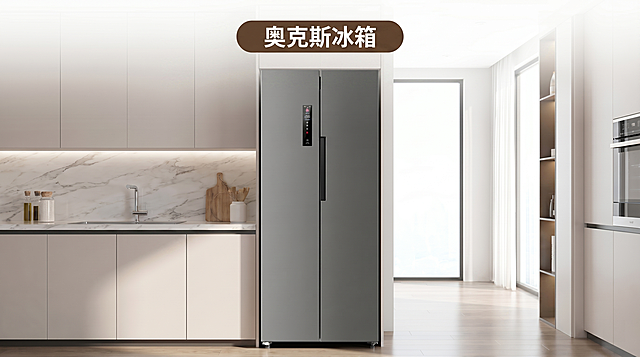 删除顶部具体型号文字，只保留品牌文字，保留冰箱商品，生成一张尺寸为600宽度×300高度的奥克斯冰箱宣传图