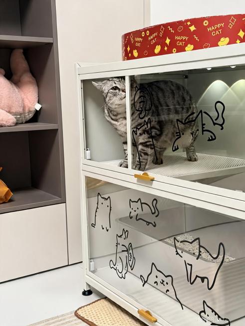 生成一张自然真实的猫咪探头角度买家秀图片，参考这张图片的场景和风格，保留美短猫咪、带有猫咪玻璃贴纸的白色双层猫柜和顶部红色HAPPY CAT猫抓板，去掉图片右下角的水印，画面自然真实，适合作为买家秀展预览效果