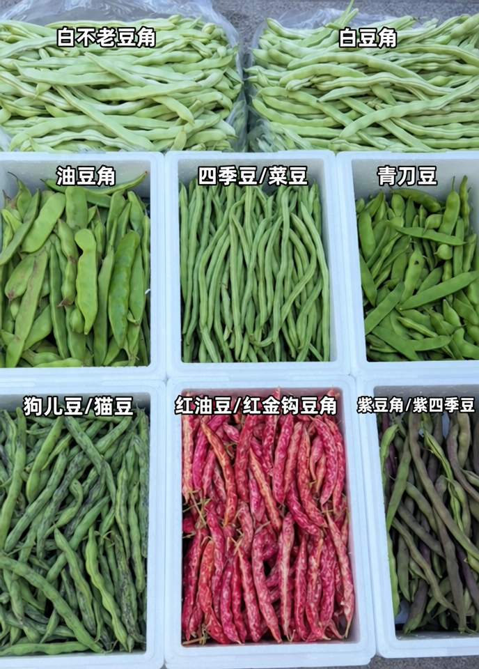 清除图片底部的文字"但是你都吃过哪几种豆角啊"，保持图片其他内… - 图片创意预览