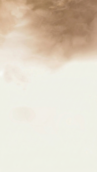 整体色调改为淡棕色预览效果