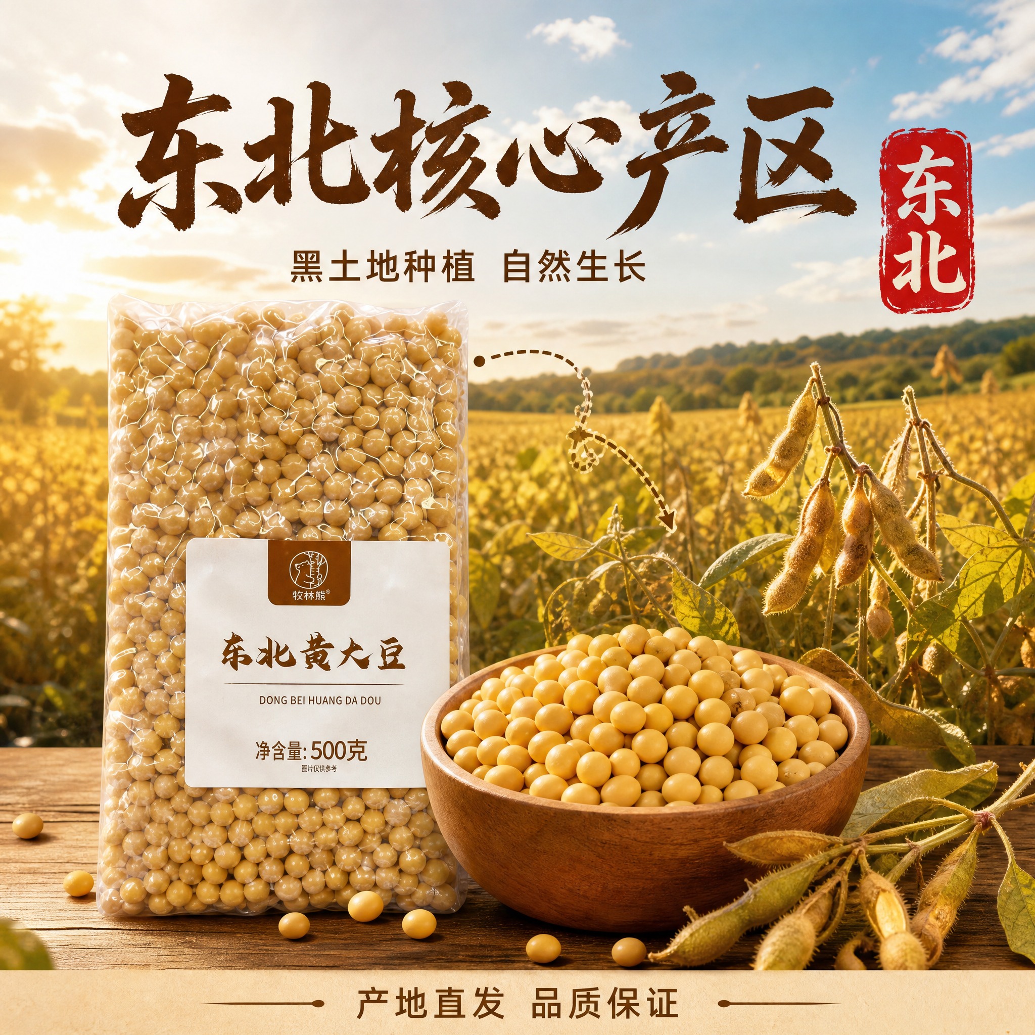 [主图-2] 东北黄大豆产地溯源与核心亮点图，建立东北产地信任… - 图片创意预览