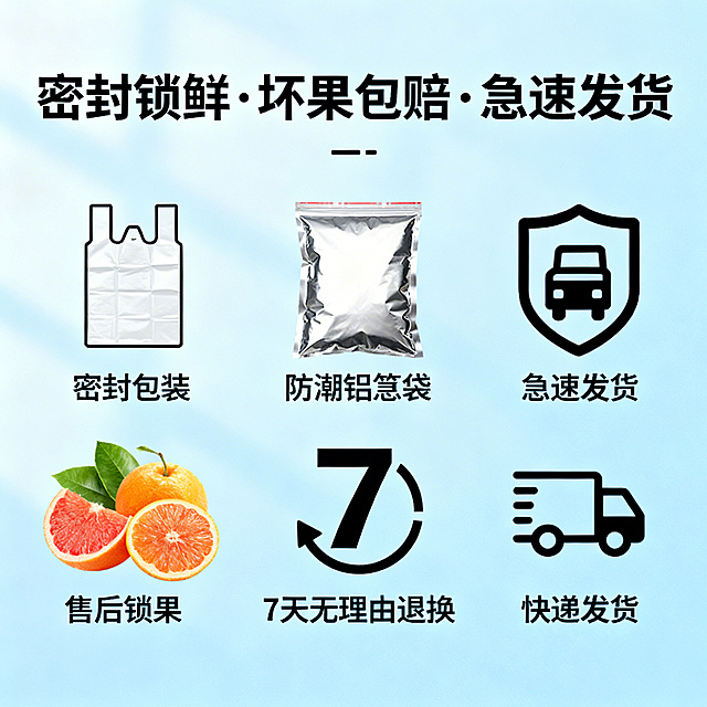 红枣详情页5：售后保障图，展示密封包装、防潮铝箔袋、7天无理由退换、快递发货图标，搭配文字'密封锁鲜·坏果包赔·急速发货'，浅蓝背景，专业可信风格