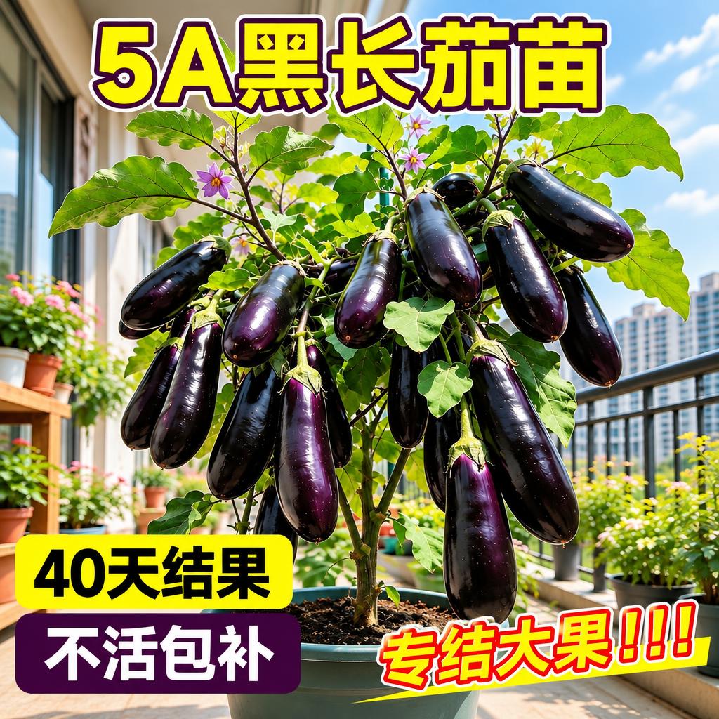 基于参考图，保持画面内容和文字不变，等比例生成1:1正方形图片 - 图片创意预览