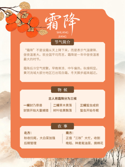 霜降小红书