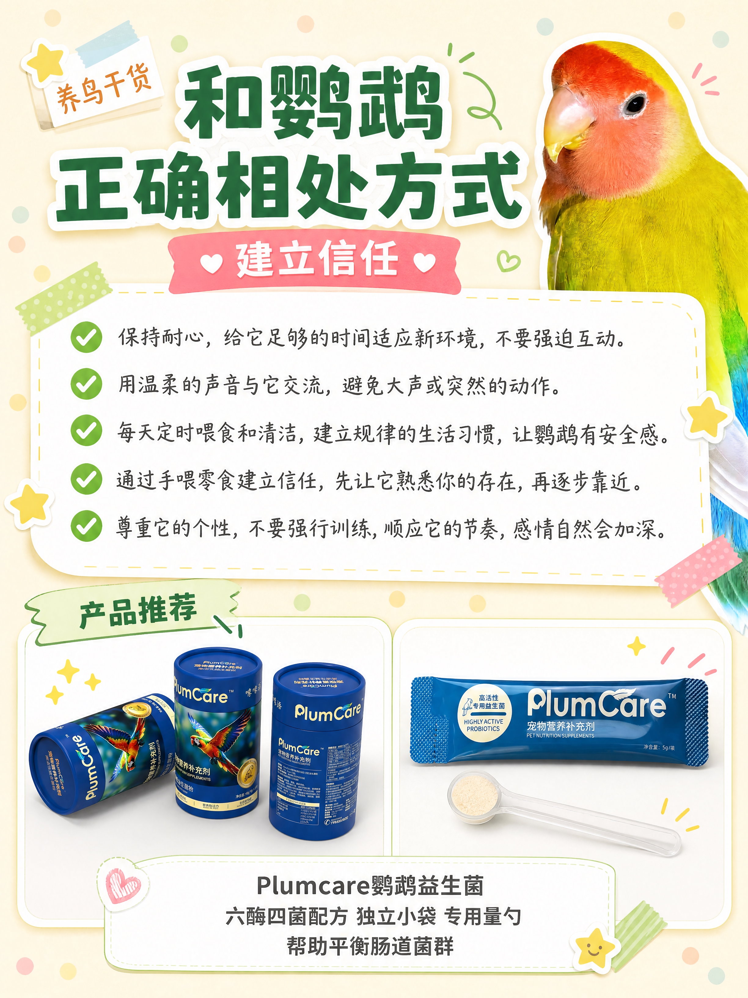 小红书笔记科普图文内页，配图大字+手账拼贴风格，版式精美，小红… - 图片创意预览
