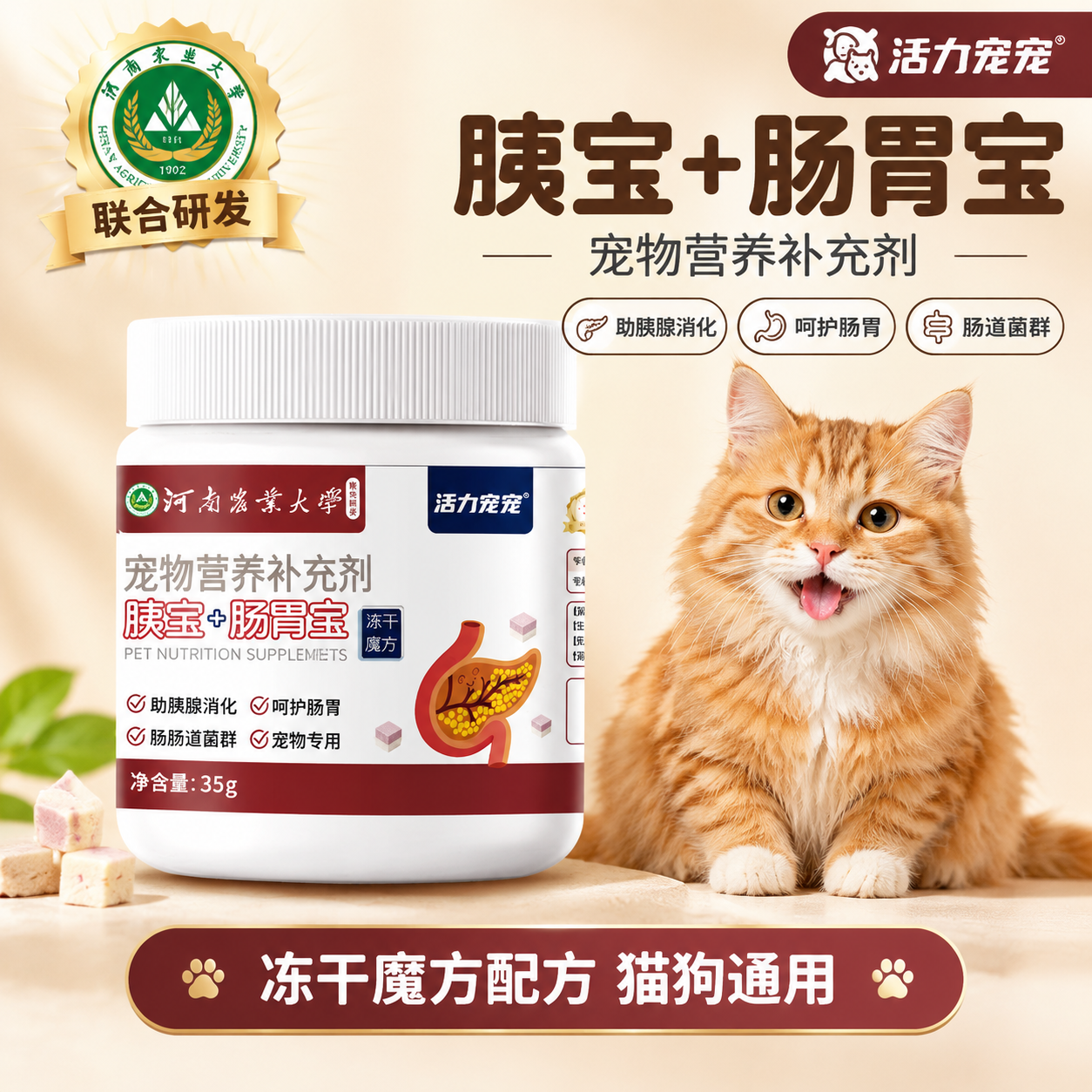 [主图-1] 宠物胰宝肠胃宝营养补充剂首图，核心任务是让用户一… - 图片创意预览