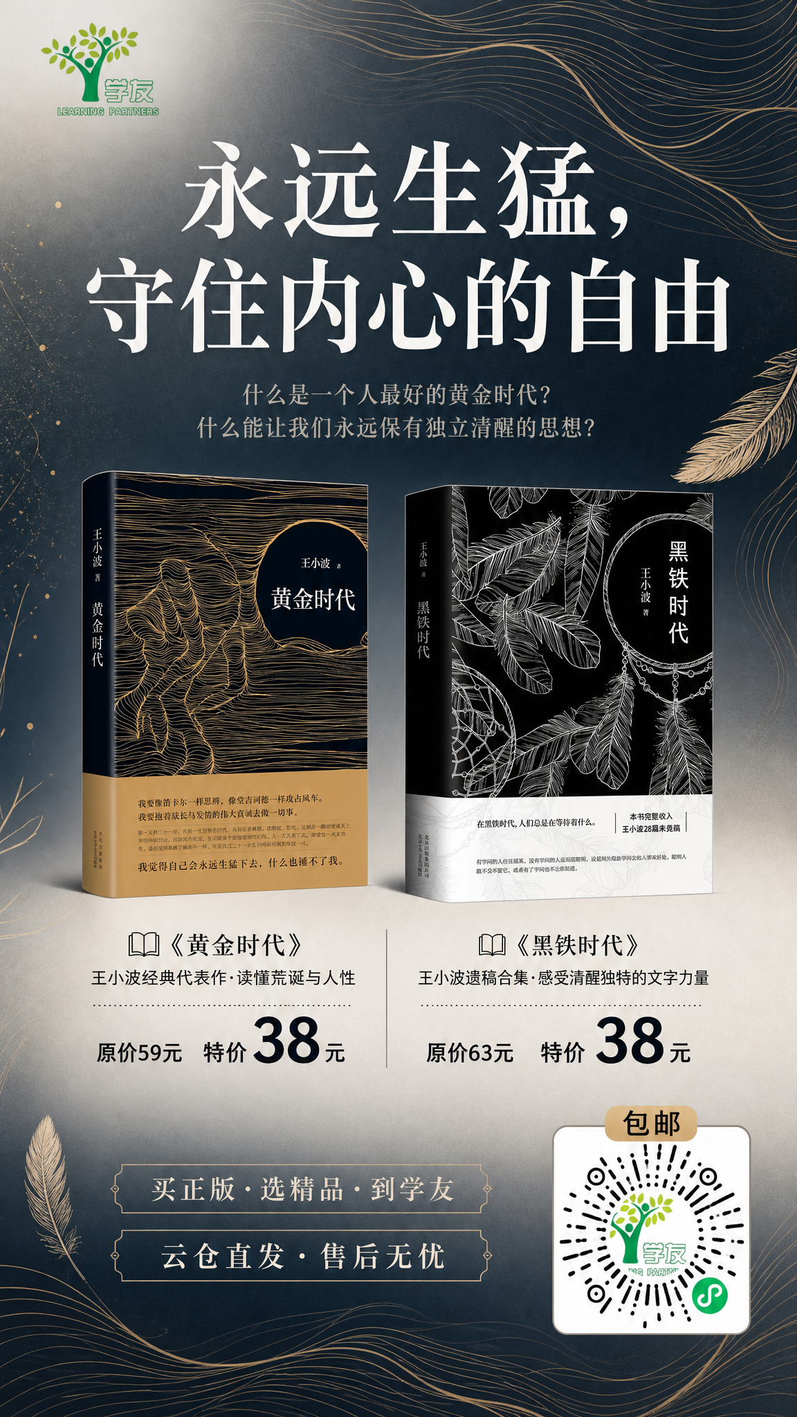 一张9:16手机全屏图书促销海报，文学质感极简风格，深蓝灰与暖… - 图片创意预览