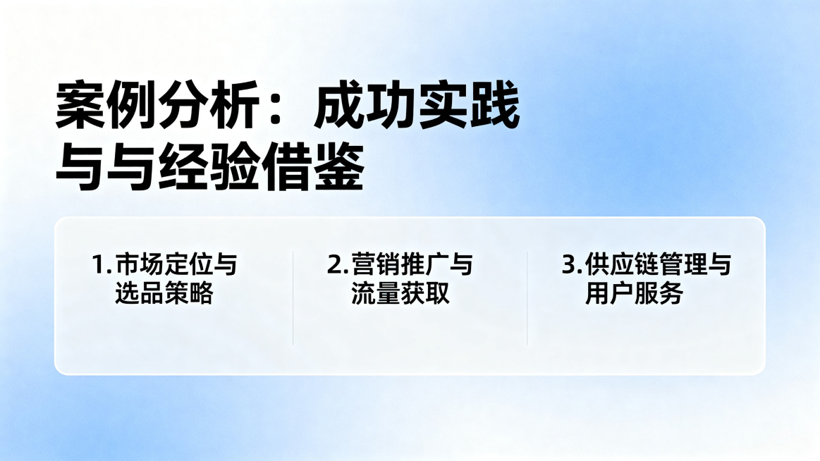 生成跨境电商案例分析PPT内页，标题为“案例分析：成功实践与经验借鉴”，使用文字排版，包含三个小标题，保持简洁干净，蓝白商务风格预览效果
