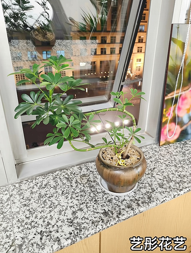 把这些照片调成发小红书的尺寸，适当增加亮度，加上艺彤花艺的水印