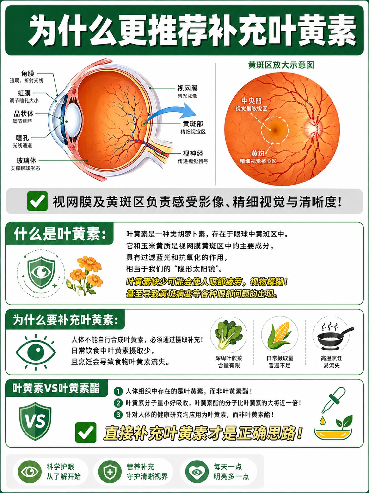 在保持现有海报整体版式、绿色科普风格、眼球解剖图、三个科普模块… - 图片创意预览