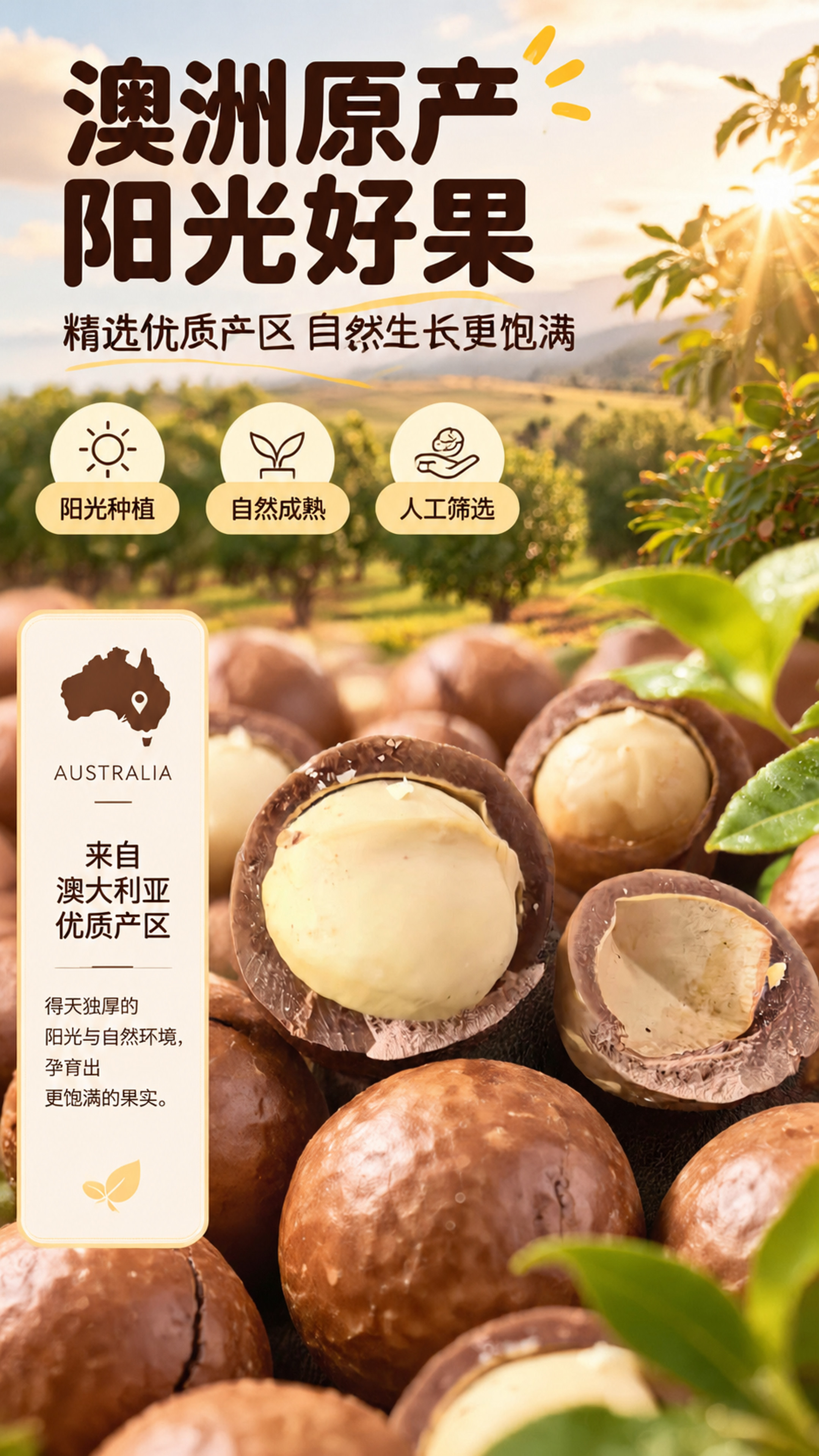 [商品] 使用【图1】夏威夷果；保留带壳开口结构、棕褐色硬壳、… - 图片创意预览