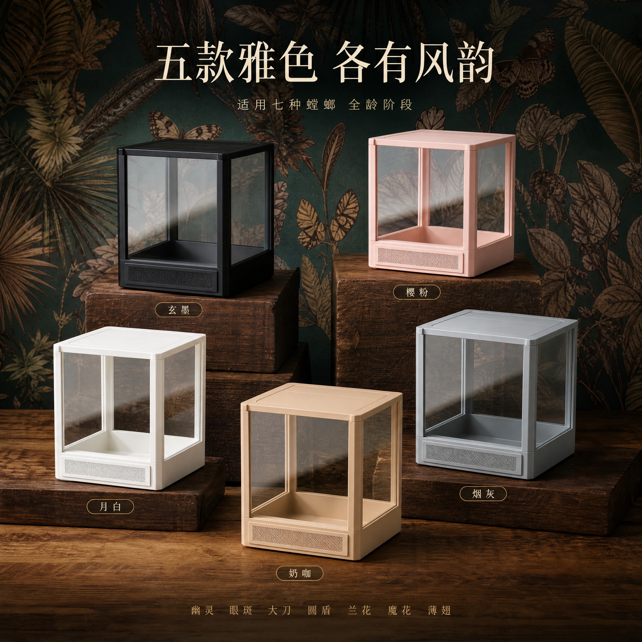 [主图-6] 多款式展示图，主题为「五色雅韵 款款倾心」，核心… - 图片创意预览