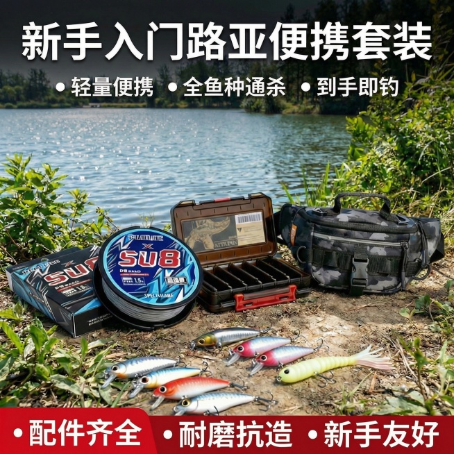 帮我把这个价格去掉换其他卖点预览效果