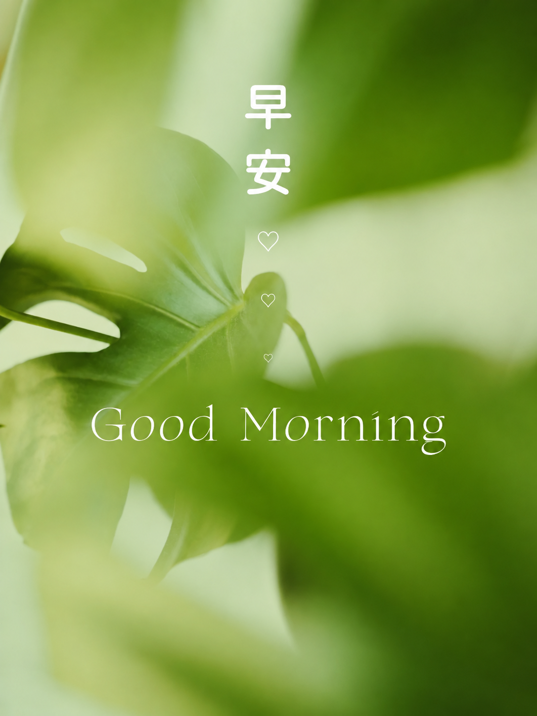 去掉图片中Good Morning下方的所有文字，包括中文句子… - 图片创意预览