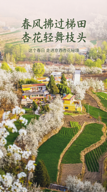 确认预览效果