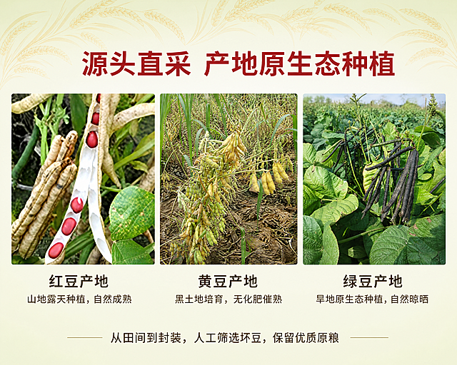 「图片1」「图片1」「图片1」「图片1」「图片1」「图片1」「图片1」「图片1」「图片1」# 农谷福五谷杂粮组合（红豆+黄豆+绿豆）拼多多详情页PS设计方案，，不改变素材。 页面宽度：**790px**，整体5大板块：焦点图→商品参数→实拍细节→产地优势→食用指南，风格自然简约、原生态田园风，适配拼多多农产品页面规范  ## 一、配色方案 1. **主色：暖麦黄色#E6B85C**（呼应稻谷素材、大豆原生色调，代表五谷自然谷物属性） 2. **辅色：浅米白#F8F5EB + 豆绿色#73A857**（绿豆固有色，柔和打底，烘托健康天然） 3. **点缀色：赤红豆红#A82828**（红豆原色，用于标题重点、价格标签、分割线条）  ## 二、字体设计（拼多多详情通用无衬线字体，PS安装思源黑体） 1. **主标题：思源黑体Bold 32~38px**（粗体，麦黄/红豆红，板块大标题，醒目） 2. **副标题：思源黑体Medium 22~26px**（常规加粗，深棕#4A3822，产品卖点小标题） 3. **辅助文字：思源黑体Regular 14~18px**（浅黑#333333，参数、吃法、说明正文）  ## 三、分板块PS分步制作（画布统一790px宽，高度按需分层新建） ### 板块1：焦点图（首屏海报，高度900px） #### PS操作步骤 1. 新建画布：`790×900px`，分辨率72dpi，RGB颜色 2. 底层背景：浅米白#F8F5EB铺底，边角叠加**金色稻谷素材（最后一张稻穗图）**，放置画面四角，降低图层不透明度20%做暗纹底 3. 中间主体：把**三豆摆盘素材（第8、9张三色豆子方盒图）**抠图去白底，居中摆放；左侧红豆、中间黄豆、右侧绿豆错落排布 4. 文案排版：     - 顶部主标题【农谷福三色杂粮｜红豆+黄豆+绿豆 500g×3组合装】（红豆红36号粗体）     - 副标题【农家原生态 | 粗粮膳食 日常煮粥代餐优选】（深棕24号）     - 右下角价格标：圆角矩形填充红豆红#A82828，白色文字「到手价23.9元」 5. 装饰：画面侧边点缀少量散落豆子素材，高斯模糊弱化边缘，营造自然洒落质感  ### 板块2：商品参数图（高度550px） 1. 画布`790×550px`，背景浅米白，顶部加麦黄色细分割线 2. 左侧小标题：【产品参数】（麦黄32号粗体） 3. 中间分栏表格：PS用矩形工具画3栏布局，白底浅灰细边框 |参数项目|详情内容| | ---- | ---- | |产品搭配|红豆500g+黄豆500g+绿豆500g| |品牌|农谷福| |规格|3斤组合装| |储存|阴凉干燥避光存放| 4. 侧边小配图：分别抠出单种豆子颗粒图（1、3、5图）缩小放在参数栏空白处点缀  ### 板块3：实拍细节图（高度1200px，分3小图分段） 拆分成3段，每段790×400px，依次对应红豆、黄豆、绿豆 1. **红豆段**：导入红豆麻袋实拍+豆荚原图（第1、2张），左右分栏：左豆子颗粒特写、右田间豆荚实拍；配小字「颗粒饱满 农家红小豆」 2. **黄豆段**：导入黄豆麻袋+田间植株图（第3、4张），上下排版，大图展示黄豆圆润颗粒，小字「非转基因黄豆，豆香浓郁」 3. **绿豆段**：导入绿豆麻袋+田间豆荚图（第5、6张），平铺实拍细节，标注「皮薄易出沙，熬汤优选绿豆」 > PS技巧：所有实拍图统一调色，增加自然饱和度+10，降低对比度5，突出原生态质感  ### 板块4：产地优势图（高度650px） 1. 背景：浅绿渐变#F2F8E9→#F8F5EB，顶部稻谷素材平铺暗纹 2. 主标题【源头直采 产地原生态种植】（红豆红34号） 3. 3列布局，每列配对应豆子田间实拍：     - 左列：红豆产地→山地露天种植，自然成熟     - 中列：黄豆产地→黑土地培育，无化肥催熟     - 右列：绿豆产地→旱地原生态种植，自然晾晒 4. 底部辅助文案：从田间到封装，人工筛选坏豆，保留优质原粮  ### 板块5：食用指南图（高度700px） 1. 画布790×700px，麦黄色浅底，标题【3种豆子家常吃法｜三餐健康膳食】 2. 分3个圆角卡片（PS圆角矩形工具，半径12px）：     - 红豆卡片：红豆杂粮粥、红豆沙甜品     - 黄豆卡片：豆浆、黄豆炖猪蹄     - 绿豆卡片：绿豆汤、绿豆杂粮饭 3. 卡片内放入对应豆子小图+吃法短句，辅助文字标注「25~40岁养胃、健身人群日常膳食搭配」  ## 四、PS图层管理规范（方便修改） 1. 每个板块单独建图层组：【焦点图层组/参数图层组/细节图层组/产地图层组/食用指南组】 2. 素材层、文字层、背景层分层上锁，稻谷装饰素材统一放「装饰素材组」 3. 全部完成后，逐个板块**文件→存储为JPG（品质85）**，按拼多多要求单张上传  ## 五、备用优化小技巧 1. 如需加组合礼盒效果图，用第7张三豆木盘图放大做组合产品全景 2. 全页面统一加1px浅棕分割线，区分5大板块，视觉更整洁
