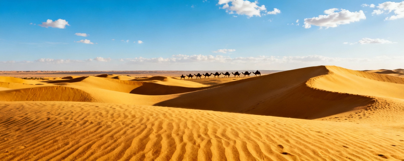 生成北非风景图，尺寸：750*300预览效果