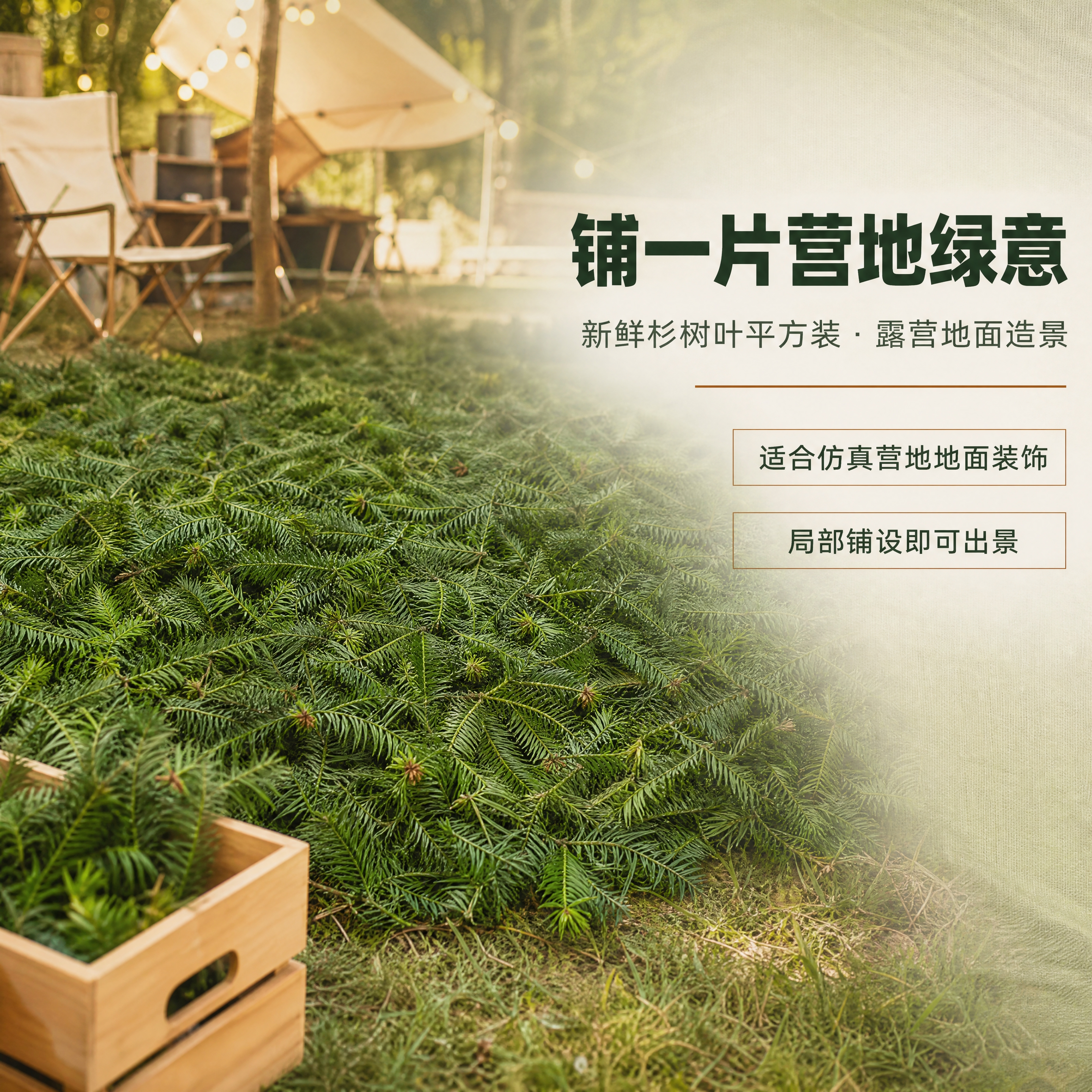 [商品] 使用【图1】新鲜杉树叶平方装整体平铺全貌作为商品主参… - 图片创意预览
