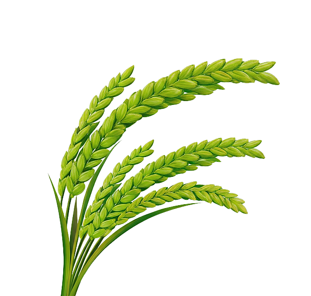 把瓶贴上的稻穗单独提取出来，稻穗不要多加，其他东西都不要