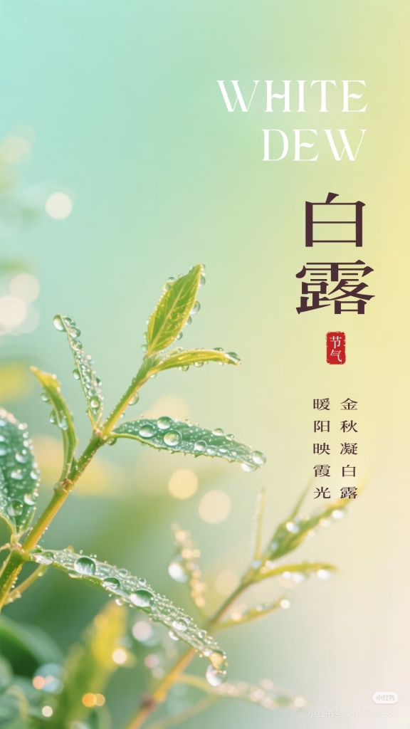 模板预览图
