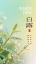 模板预览图