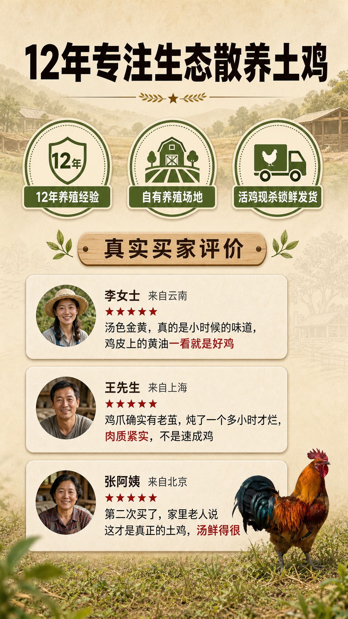 [商品] 使用【图3】山坡草地中的红棕色土公鸡作为产品参考；保… - 图片创意预览