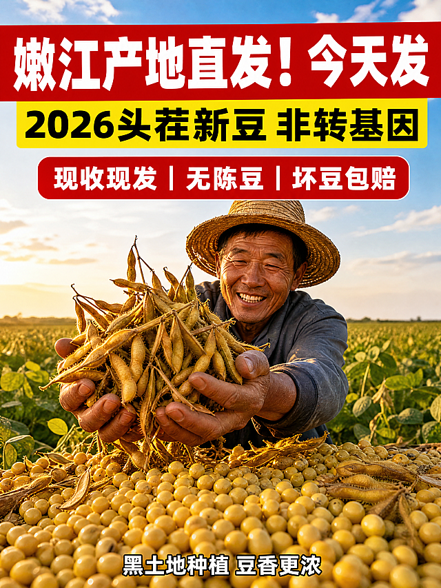 750×1000px 竖版，超写实摄影，清晨6点金色阳光斜射，黑龙江嫩江黑土地农田，皮肤黝黑的东北农民戴草帽弯腰，双手捧起一大捧饱满的黄豆荚，脸上带着丰收的笑容，前景散落大量金黄黄豆粒，背景是一望无际的绿色大豆田和蓝天白云，豆子颗粒清晰有油光，景深效果拉满，暖色调，高清4K，无多余杂物。文字内容：顶部1/3位置添加超大粗体红底白字主标题"嫩江产地直发！今天发"，添加黄底黑字粗体副标题"2026头茬新豆 非转基因"，添加红底白字圆角卖点标签"现收现发 | 无陈豆 | 坏豆包赔"，底部添加白色描黑边小字"黑土地种植 豆香更浓"，按优先级排版文字。