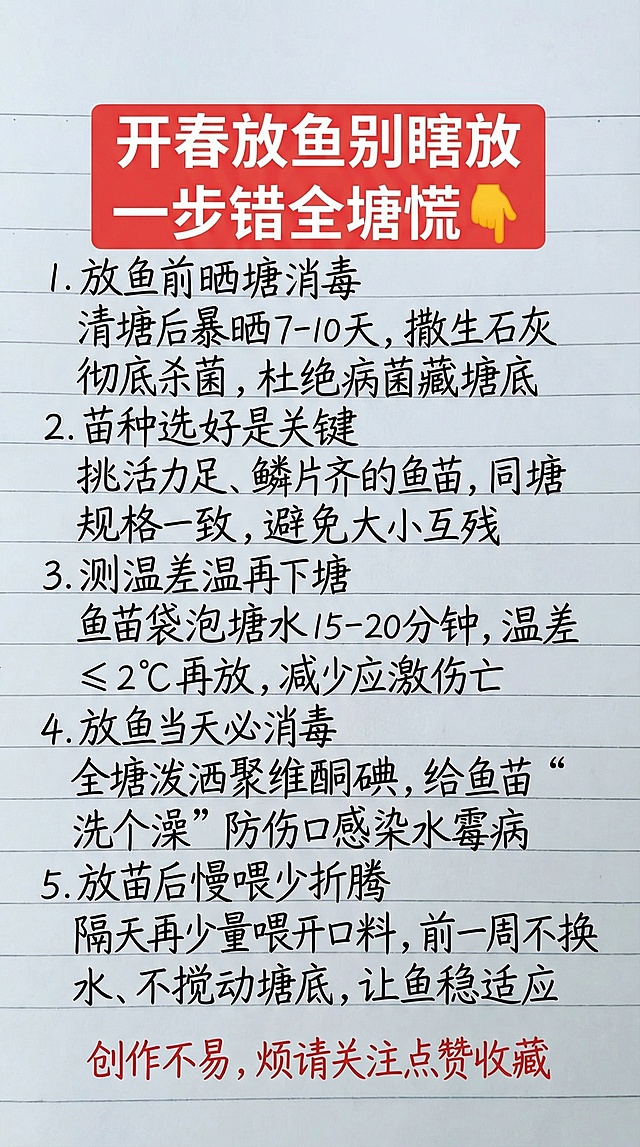 「图片1」开春放鱼别瞎放一步错全塘慌👇1.放鱼前晒塘消毒  清塘后暴晒7-10天,撒生石灰彻底杀菌,杜绝病菌藏塘底  2.苗种选好是关键  挑活力足、鳞片齐的鱼苗，同塘规格一致,避免大小互残  3.测温差温再下塘  鱼苗袋泡塘水15-20分钟,温差≤2℃再放,减少应激伤亡  4.放鱼当天必消毒  全塘泼洒聚维酮碘,给鱼苗“洗个澡’防伤口感染水霉病  5.放苗后慢喂少折腾  隔天再少量喂开口料,前一周不换水、不搅动塘底,让鱼稳适应  创作不易,烦请关注点赞收藏  参照图片字体和颜色，用上面内容替换生成新的内容，要求排版布局合理，一字不差。