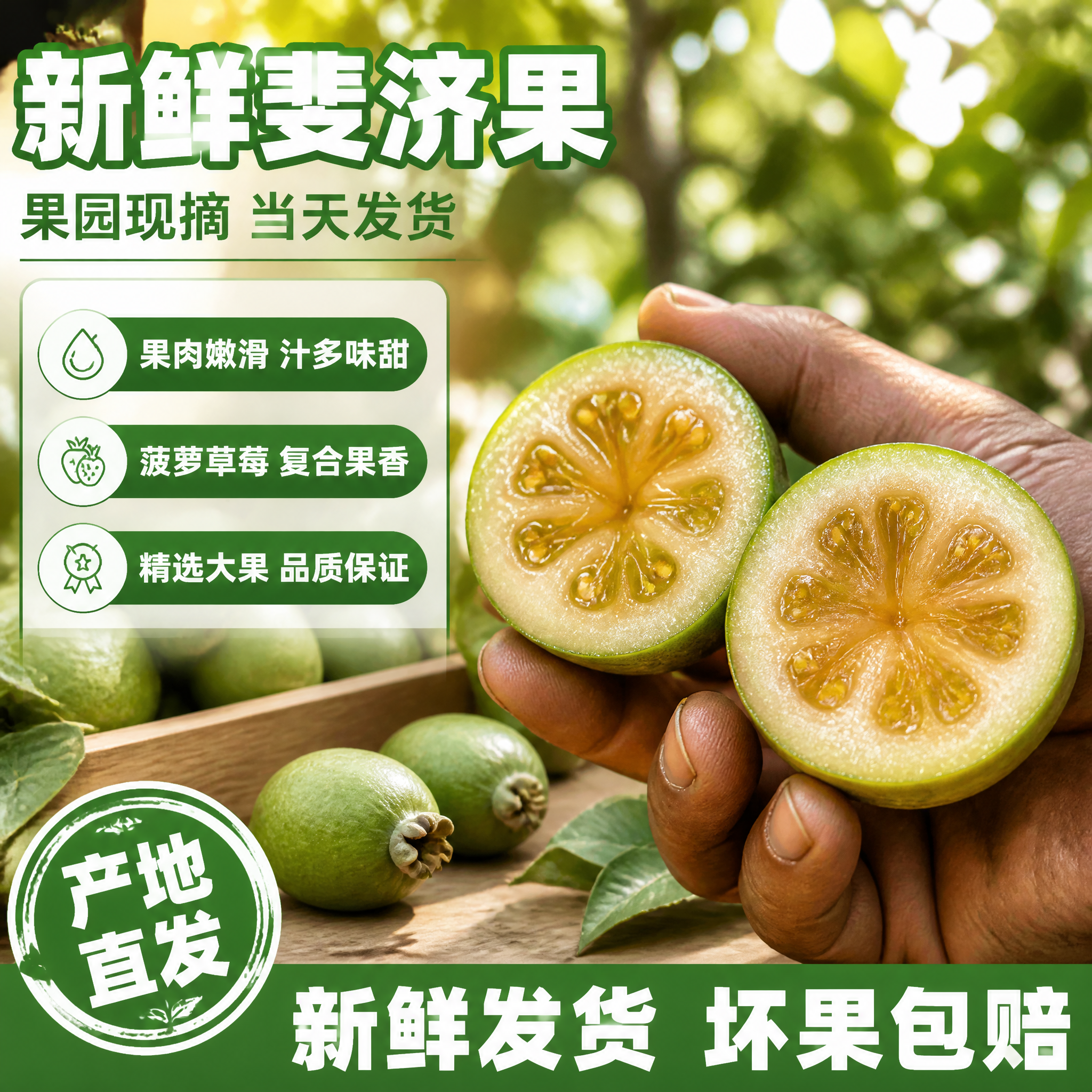 [单张主图] 商品名称：斐济果。路线：爆款促销感主图。主图目标… - 图片创意预览