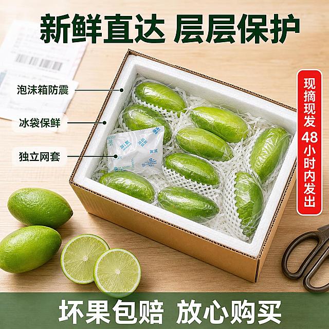 [主图-6] 海南香水柠檬保鲜包装与开箱展示图，全新包装交付场景。
[氛围风格] 开箱实拍感，包装严实新鲜直达的信任感。
[画质] 商业摄影质感、光线明亮自然、产品清晰真实、细节丰富。
[元素] 画面中央一个打开的泡沫箱/纸箱，里面整齐摆放着套有保鲜袋的海南长条香水柠檬，柠檬翠绿饱满，箱内有冰袋和防震填充物；旁边散落2颗拿出的完整柠檬和1片切开的展示果肉；保持柠檬外观与输入产品图一致。背景为浅色木质桌面，有快递单一角（模糊处理）、剪刀。商品主体占比约55%。
[光影] 顶部自然柔光，箱内柠檬有层次，桌面阴影柔和，整体开箱真实感。
[配色] 主色纸箱棕+木色桌面；辅色青柠绿产品+白色泡沫；强调色深绿+红色（文字）。
[视角构图] 俯视45度角度，开箱场景，主体居中，四周留空间。
[文字版式] 顶部大字"新鲜直达 层层保护"深绿粗体居中；左侧引出三条说明指向箱内："泡沫箱防震" "冰袋保鲜" "独立网套"，深绿小字；右侧"现摘现发 48小时内发出"红底白字竖条标；底部半透明条带："坏果包赔 放心购买"白字绿底。文字清晰可读。
[输出要求] 1:1比例，文字清晰锐利，超高清商业摄影质感。
[负向提示词] 变形，文字错乱，产品模糊，背景杂乱，水印，电商平台Logo。
