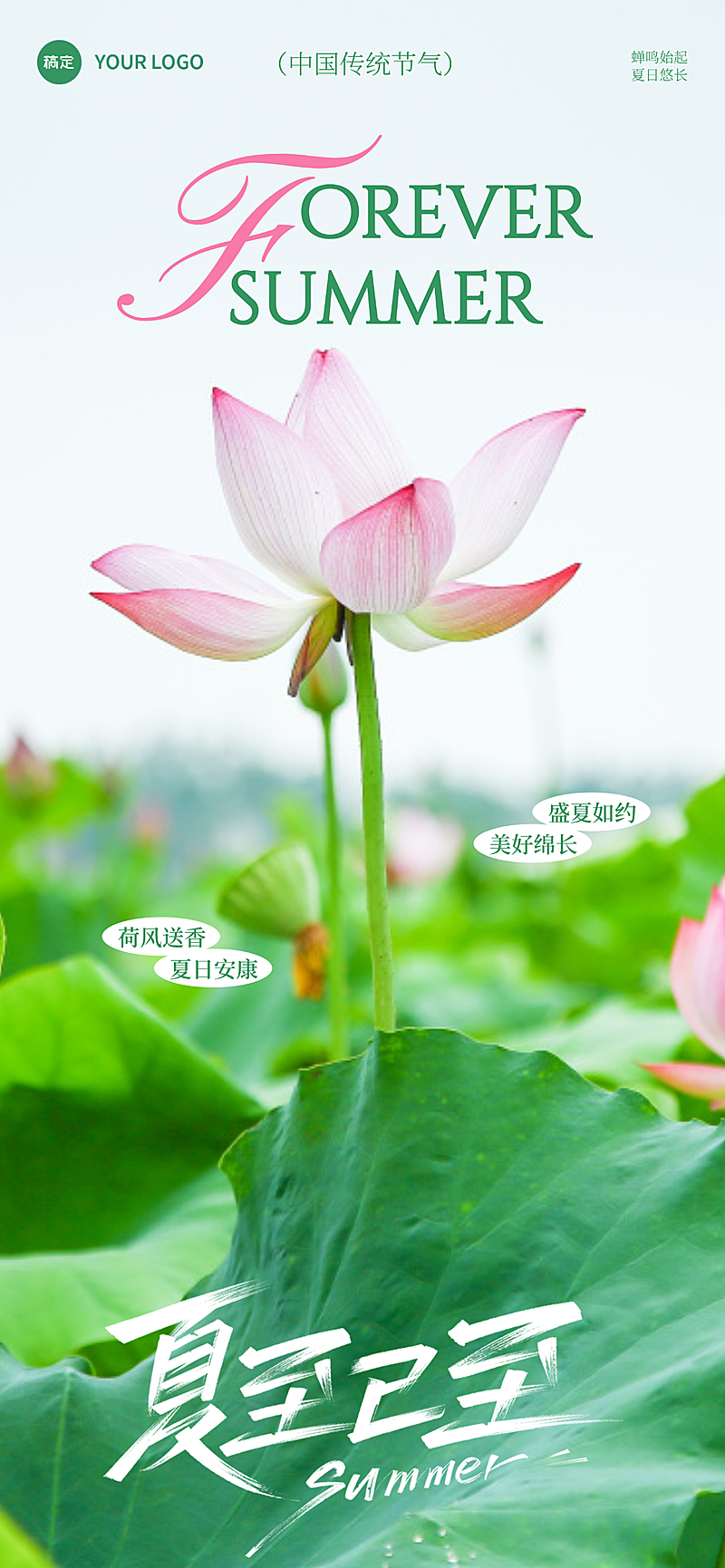 夏至节气祝福清新实景风通用手机全屏竖版海报