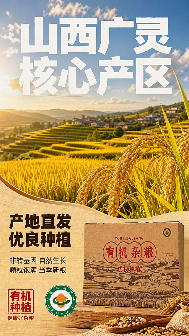 [商品] 使用立景有机杂粮礼盒产品图；保留牛皮纸包装、立景Logo、有机杂粮字样与田园图案，产品外观、颜色、材质、结构不变形、不拉伸、不压扁。
[画面] 第2张 产地溯源页，9:16竖版，上半部分产地实景大图占60%，下半部分产品+文案。上半部分山西广灵梯田田园风光，金黄稻田层层叠叠，远处村庄与蓝天白云，自然暖阳逆光，稻穗饱满有通透光泽，占画面主体。下半部分右侧放置杂粮礼盒，左侧产地信息文字。画面中加入绿色有机认证圆形标识增强信任。
[视觉] 套系策略：风格=拼多多大字报+粮油米面田园风；标题字=超粗黑体 厚重有力；正文字=简洁黑体；主色=暖棕牛皮纸色；背景延展=暖棕到米黄渐变 田园肌理 木纹/麻布质感；强调色=烫金红 仅用于重点词和标签；标题色=深棕近黑；正文色=中棕；组件=圆角深棕底信息卡 红色印章标签 细线引线；光影=自然暖光 左上主光 柔和阴影。
[文字] 上方稻田场景内叠加白色粗体大字："山西广灵 核心产区"，下方产品区主标题："产地直发 优良种植"，辅助文案两行："非转基因 自然生长""颗粒饱满 当季新粮"。文字全部横排，字号大，手机端清晰可读。
[规格] 9:16竖版，2K，禁止变形、错字、文字过小、平台Logo、水印、极限词、冷蓝背景、产品失真。