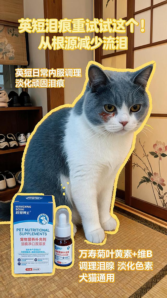 「图片1」  属于产品图片，参考         「图片1」                         这种图片，痛点：宠物天生泪腺发达、短鼻犬猫（比熊、泰迪、英短、加菲等）频繁流泪，眼角形成深色顽固泪痕，颜值大打折扣
卖点：添加天然万寿菊叶黄素+全族B族维生素，内服调理泪腺代谢，从根源减少异常流泪，淡化色素沉淀
使用场景：扁脸、短鼻腔高发泪痕品种日常长期内服调理，每天定量喂食，持续改善流泪和眼角黑褐色泪痕
，制作10张适合小红书的封面图片，还要和不同猫狗独影作为合影。尺寸：9:16