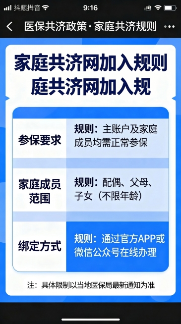 延续参考图片蓝白简约信息图风格，9:16竖版抖音医保科普图文，说明家庭共济网加入规则，排版和参考图保持一致画风预览效果
