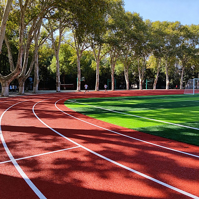 照片级真实感，8K 分辨率，阳光明媚的午后，校园里的红色塑胶跑道，颗粒感哑光表面，白色分道线清晰，跑道旁是绿色的人造草坪足球场，周围种着高大的梧桐树，树影在跑道上投下斑驳的光影，远处有学生在慢跑，画面充满活力和生活气息，自然柔和的光线，细节丰富。
