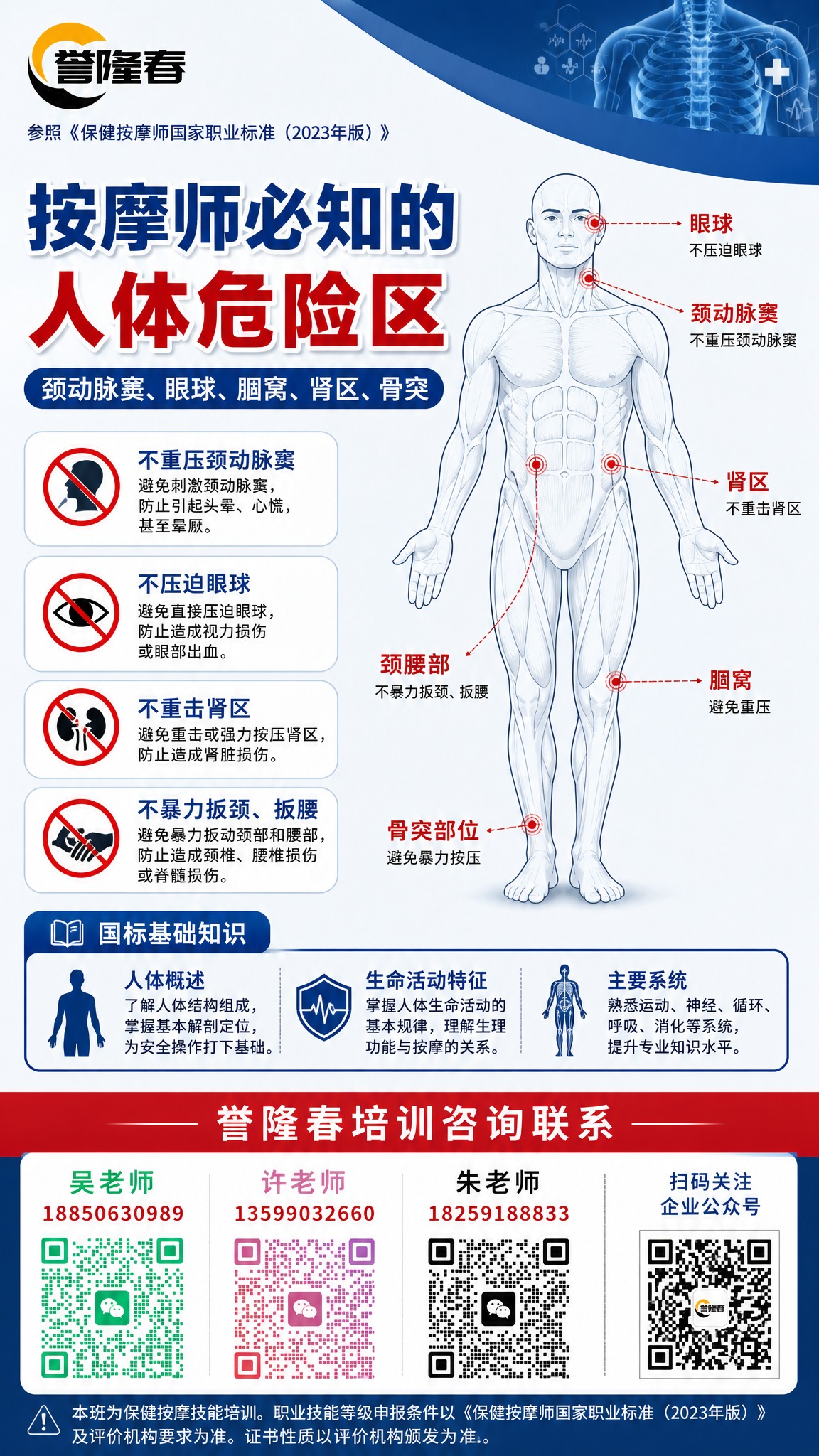 设计一张竖版职业培训人体解剖主题海报，主题为按摩师人体危险区知… - 图片创意预览