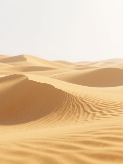 超写实3D渲染的沙漠场景，细腻起伏的金色沙丘占据画面下方，沙粒纹理分毫毕现，暖黄米色调温暖柔和，沙丘表面光影过渡自然舒缓，上方纯净白色背景简洁开阔，光线柔和均匀，暖黄渐变为纯白，营造宁静空旷极简氛围，干净风格适配背景素材。预览效果