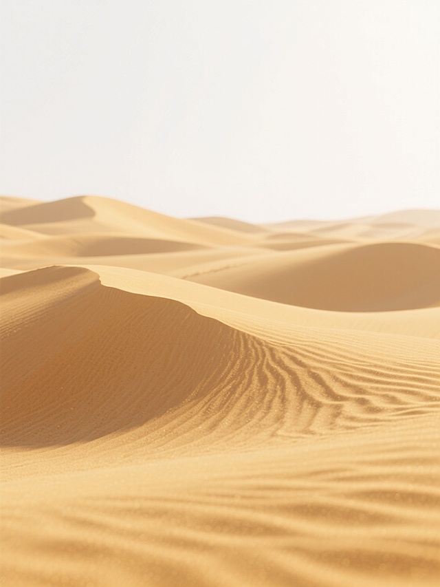超写实3D渲染的沙漠场景，细腻起伏的金色沙丘占据画面下方，沙粒纹理分毫毕现，暖黄米色调温暖柔和，沙丘表面光影过渡自然舒缓，上方纯净白色背景简洁开阔，光线柔和均匀，暖黄渐变为纯白，营造宁静空旷极简氛围，干净风格适配背景素材。
