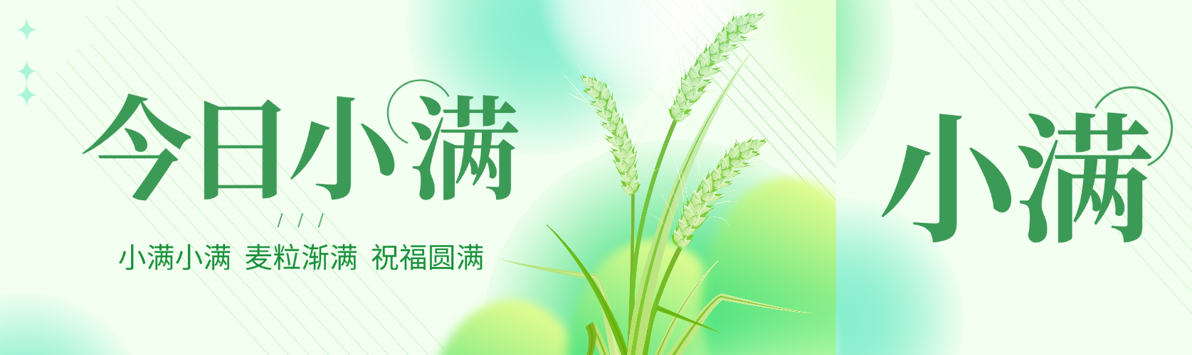 小满节气祝福清新感微信公众号双封面预览效果
