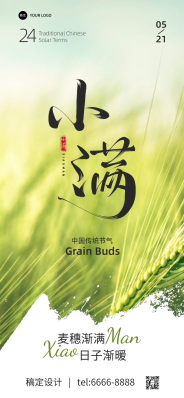 小满节气祝福实景全屏海报预览效果