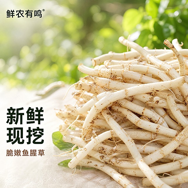 [主图-1] 鲜农有鸣 折耳根（鱼腥草）首图，高端简约风格，突出新鲜脆嫩的食欲感。
[统一基调] 整体风格高端简约、自然清新，以自然绿色和米白色为主色调，标题字色为深墨绿，辅助字色为暖棕色，强调色为鲜绿色；字体使用简洁无衬线黑体，字形干净利落，字号层级分明；画面元素少而精，留白充足，无多余装饰。
[画面] 折耳根（鱼腥草）主体居中偏右，占画面约65%，新鲜白嫩的根茎自然堆叠，根须清晰，表面带有自然的泥土痕迹与水润光泽，质感真实脆嫩；背景为虚化的户外田间草地，阳光透过叶片形成柔和光斑，营造产地自然氛围；左上角放置鲜农有鸣品牌标识，简洁小巧；左下角有极简文字区域。
[光影质感] 自然暖阳逆光，光线从侧上方洒下，在折耳根表面形成通透的光泽与柔和阴影，突出根茎的白嫩质感与新鲜度，整体光影柔和自然，商业摄影级质感。
[配色] 主背景为自然绿色渐变虚化，产品主体为奶白色带浅棕根节，文字为深墨绿与暖棕色，整体色调清新自然，高端干净。
[文字版式] 左上角品牌名「鲜农有鸣」小号深墨绿黑体；左下角主标题「新鲜现挖」大号粗体深墨绿，下方辅助文案「脆嫩鱼腥草」小号暖棕色，文字精简，不遮挡产品主体，排版左对齐，留白充足。
[输出要求] 1:1正方形，2048×2048，2K分辨率，文字清晰可读，产品清晰锐利，无变形错字，无水印无平台Logo，无违规极限词，画面干净高端。