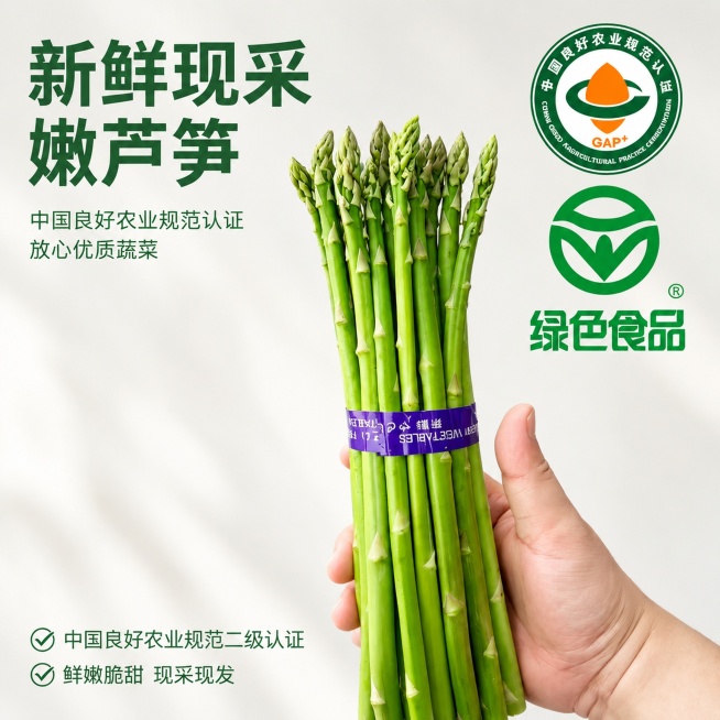 [主图-1] 新鲜嫩芦笋产品首图，突出诱人新鲜度。
[氛围风格] 清新自然生鲜风格，突出食欲感与新鲜度
[画质] 商业摄影质感、光线柔和通透、芦笋清晰真实、画面干净高级
[元素] 手持一捆新鲜嫩绿芦笋预览效果