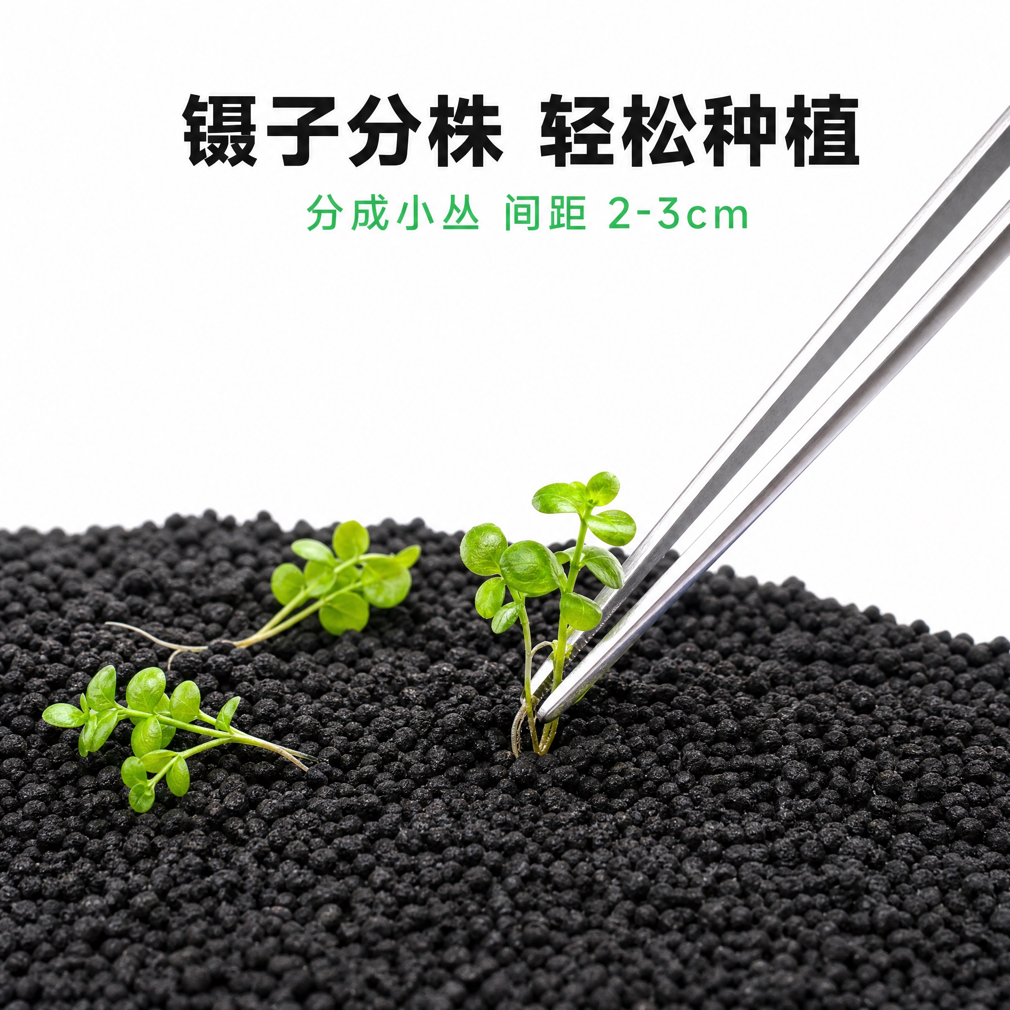 [主图-3] 种植步骤展示，银色镊子将水草种植入黑色水草泥中。… - 图片创意预览