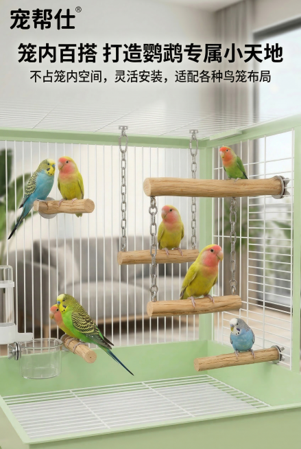 第 10 屏 笼内场景・沉浸式使用全景，严格还原上传的宠帮仕不锈钢原木鹦鹉秋千站杆产品图，产品外观必须与参考图完全一致，不得改变设计、配色或品牌元素，产品与鸟笼、鹦鹉的尺寸比例 1:1 还原，真实物理预览效果