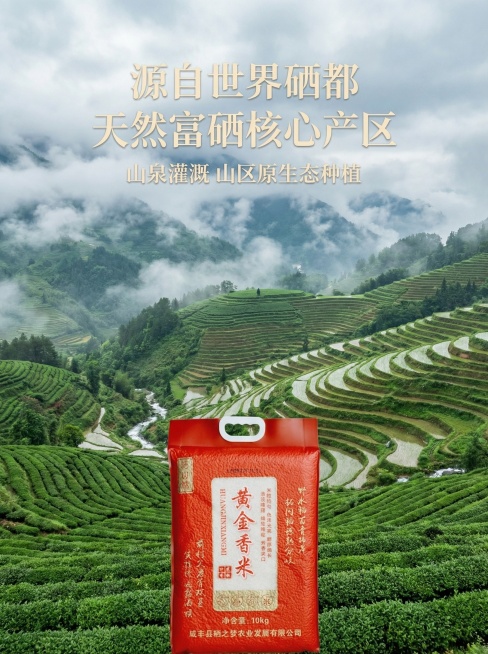 图生图，展示核心产区优势。保留原商品包装，背景融入湖北恩施山区云雾缭绕的原生态梯田茶园风光，体现世界硒都天然富硒的产地优势。原商品放置在画面下方，上方展示壮美山川梯田景色。文字：主标题“源自世界硒都预览效果