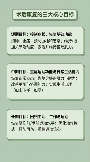 将图片调整为小红书9:16比例，改为极简浅绿风格，保留原有文字和图片内容预览效果