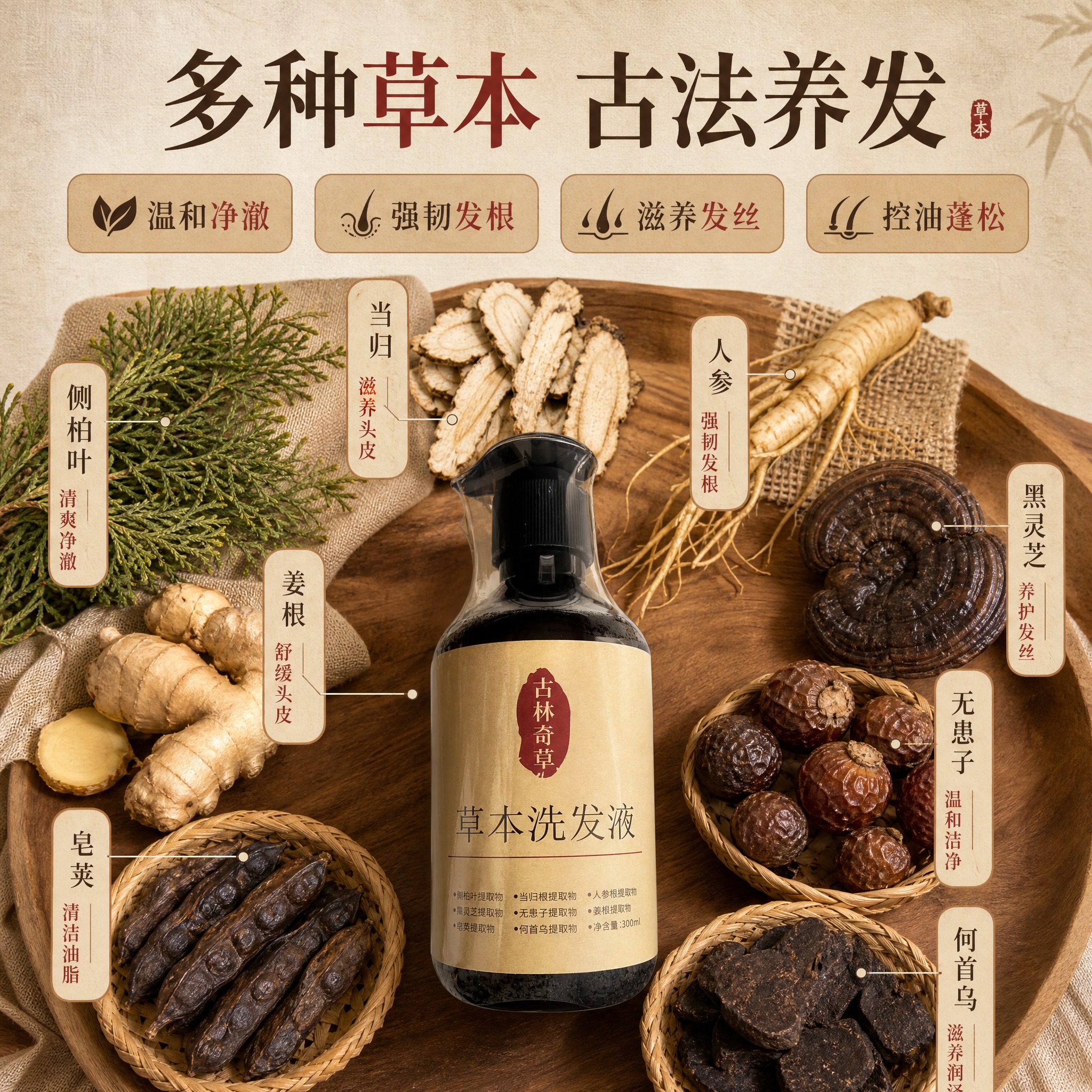 [主图-2] 小红书草本洗发液核心卖点图，展示多种草本成分与养… - 图片创意预览